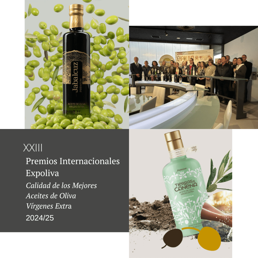 Collage con el título de los Premios Expoliva 2024, imagen de AOVE Jabalcuz, AOVE Tierras de Canena y foto de los ganadores del certamen.